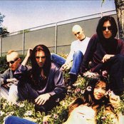 A Perfect Circle - List pictures