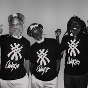 Congos - List pictures