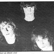 Wolf - List pictures