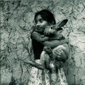 Los Cojolites - List pictures