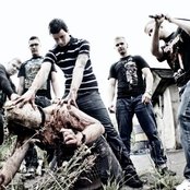 Anima - List pictures