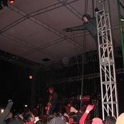 Project 86 - List pictures