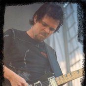 Vintersorg - List pictures