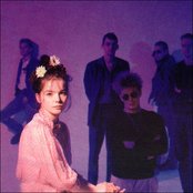 Sugarcubes - List pictures