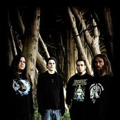 Decrepit Birth - List pictures