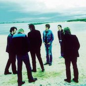 Singapore Sling - List pictures