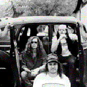 The Screamin' Cheetah Wheelies - List pictures