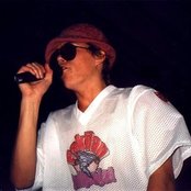 Karri Koira - List pictures