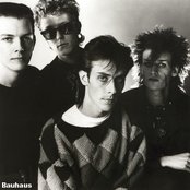 Bauhaus - List pictures