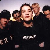 Lifer - List pictures