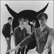 The Fleshtones - List pictures