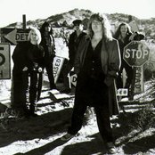 Great White - List pictures