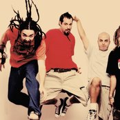 Genitallica - List pictures