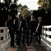 Elan - List pictures