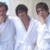 Rascals - List pictures