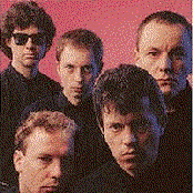 Spider Murphy Gang - List pictures