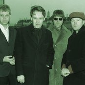 Gene - List pictures