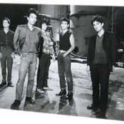 Wall Of Voodoo - List pictures