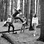 The Receiving End Of Sirens - List pictures