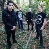 Feign - List pictures