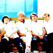 Beach Boys - List pictures