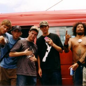 Shapeshifter - List pictures