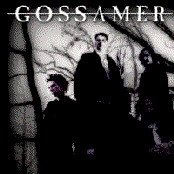 Gossamer - List pictures