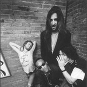 Spin Doctors - List pictures