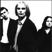 Auteurs - List pictures