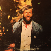 Taj Mahal - List pictures