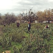 Fly Golden Eagle - List pictures