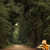 Mr Oizo - List pictures