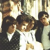 T.n.t. - List pictures