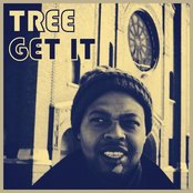 Tree - List pictures