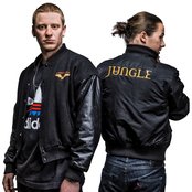 Jungle - List pictures