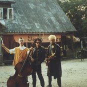 Vennaskond - List pictures