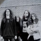 Acrostichon - List pictures