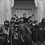 Treated Crew - List pictures