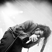 Ill Niño - List pictures
