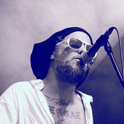 Jaya The Cat - List pictures