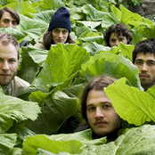 Efterklang - List pictures