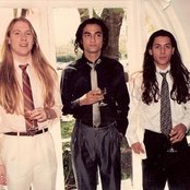 Cynic - List pictures