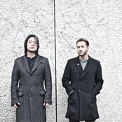 Feeder - List pictures