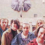 Ned's Atomic Dustbin - List pictures