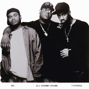 Original Flavor - List pictures