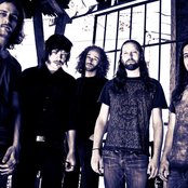 Fair To Midland - List pictures