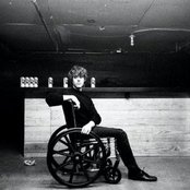 White Fence - List pictures