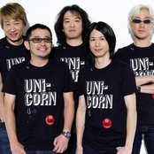 Unicorn - List pictures