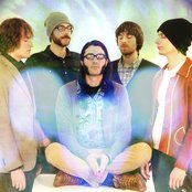 Maybird - List pictures