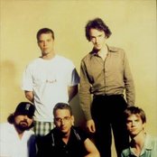 Brad - List pictures